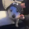 heidi - @heidiwaide - TikTok