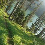 🌸Heidi waldner 🌺 - @waldner.heidi08 - Instagram