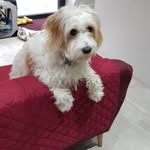 Heidi Wang - @heidi.wang.9469 - Instagram