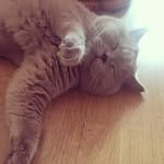 Heidi Wang - @heidi_w61 - Instagram