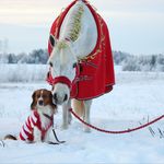 Heidi Wäre - @heidiware.kuvat - Instagram