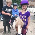 Heidi Wareham - @warehamheidi - Instagram