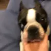 Heidi.Ware - @stanfglq33w - TikTok