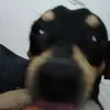 Heidi.Ware - @rturnker0a2 - TikTok