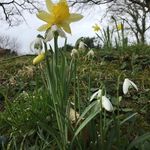 Heidi Warwick - @warwick4441 - Instagram