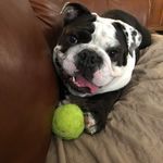 Heidi Warwick - @hlkwaz - Instagram