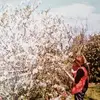 Heidi Warwick Pegg - @heidi.warwick.peg - TikTok