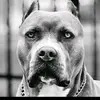 HeidiWarwick - @heidiwarwick7 - TikTok