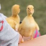 Heidi Welshans - @heidiwelshans - Instagram