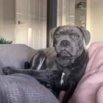 Heidi Whitehead - @heidi.whitehead.96 - Instagram