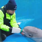 Heidi Whitehead - @hrwhitehead - Instagram