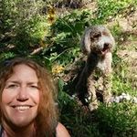 Heidi Whitney - @heidiwhitney - Instagram