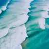 Whitney Heidi - @whitneyheidi19 - TikTok
