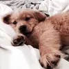 Heidi Widmer - @heidi.widmer - TikTok