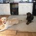 Heidi-Wally Wiegand - Facebook