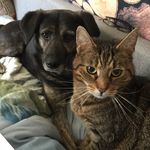 Heidi Wiegand - @mamuroselchen - Instagram