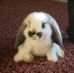 Heidi Wiegand Kaap - Facebook