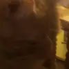 Heidi$$$$$$$ - @heidiyiyt9b - TikTok