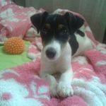 heidy yenicsa yanez gamboa - @heidyyenicsayanezgamboa - Instagram