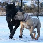 Heiko Schmidt - Facebook