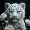 Heiko Schmidt - @heiko.schmidt78 - TikTok