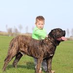 Hein Smit - @hsa.smit - Instagram