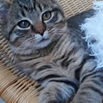 Karl Heinz  Ernst - @ernst.karlheinz - Instagram
