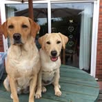 Helen Abbs - Facebook
