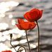 Helen Adamson - Facebook