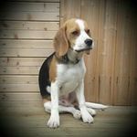 Helen Adamson - @adamson.helen - Instagram