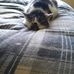 Helen Adamson - Facebook