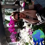 Helen Ahern Helen Tipper II - Facebook