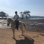 Helen Allingham - @helen_allingham - Instagram