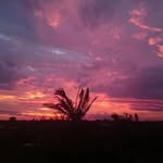 Helen Andersen - @helen.andersen.752 - Instagram
