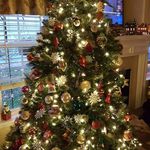 Helen Applegate - @applegate3072 - Instagram