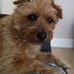 Helen Armitage - Facebook
