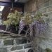 Helen Armitage - Facebook