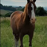 Helen Armitage - @harmitage474 - Instagram