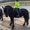 helenarmitage35 - @helenarmitage35 - TikTok