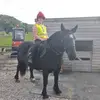 Helen Ashton521 - @helenashton521 - TikTok