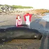 helenashton953 - @helenashton953 - TikTok