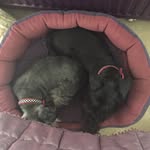 Helen Barlow - @helenbarlow64 - Instagram