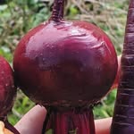 Helen Barlow - @heart.beets.eats - Instagram