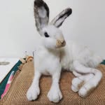 Helen Barlow - @hels_barlow - Instagram