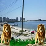 Helen Barlow - @helen.barlow.16547 - Instagram