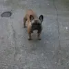 Helen Barlow - @helen.barlow5 - TikTok