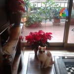 Helena Barragan Huguet - @helena.barragan - Instagram