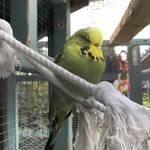 Helen Barratt - @helen_02farm - Instagram