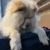 helenabartel1 - @helenabartel1 - TikTok