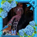 Helena Bartels - @helena.bartels.568 - Instagram